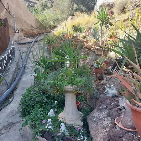 El Palmito 2 Apartment Mogan