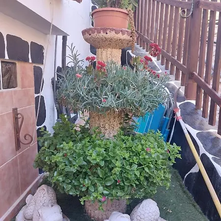 El Palmito 2